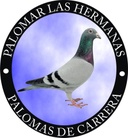 Competidor