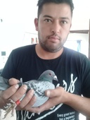 Competidor