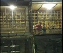 Competidor