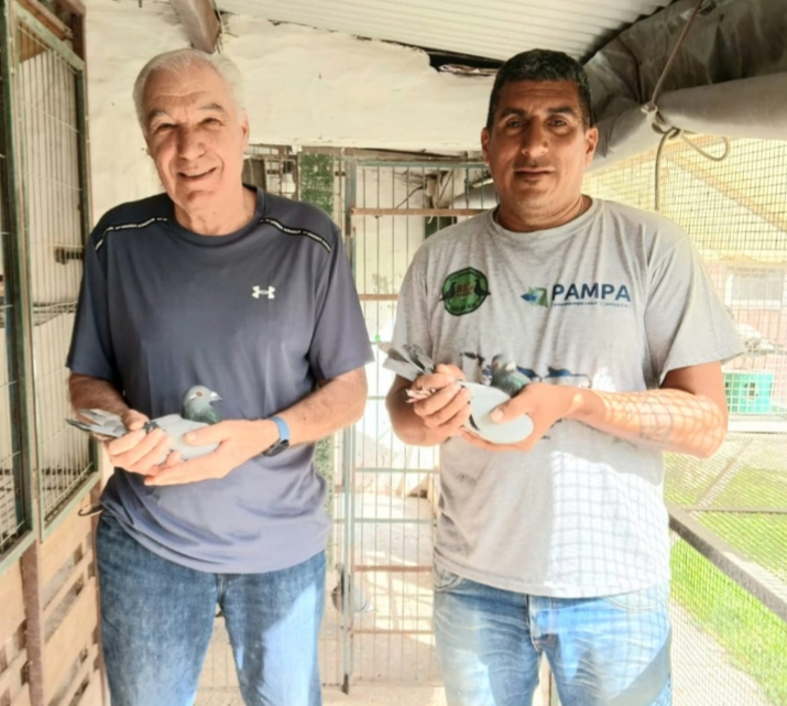 Competidor